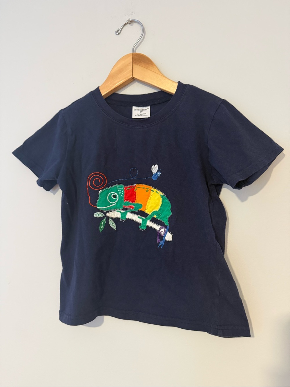 Embroidered Shirt